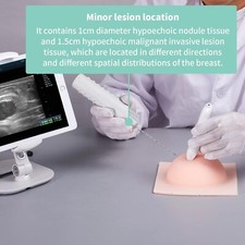 Modello Seno Ultrasuoni