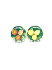 Set piatti pubblicitari Oransoda Lemonsoda – Borsato Nove – anni ‘60 