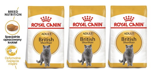 Royal canin british shorthair - royal,