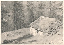 1953 gressoney trinitè - gressoney,