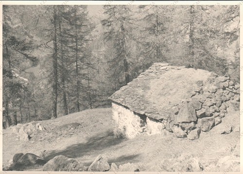 1953 gressoney trinitè - gressoney,