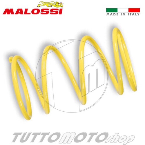 2916459 malossi molla - 2916459.y0,