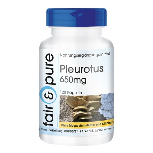 Pleurotus 650 120 - pleurotus,