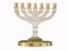 Shalom Menorah 7 rami 12