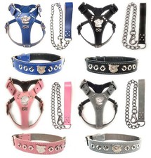 Bellissimo set Staffordshire