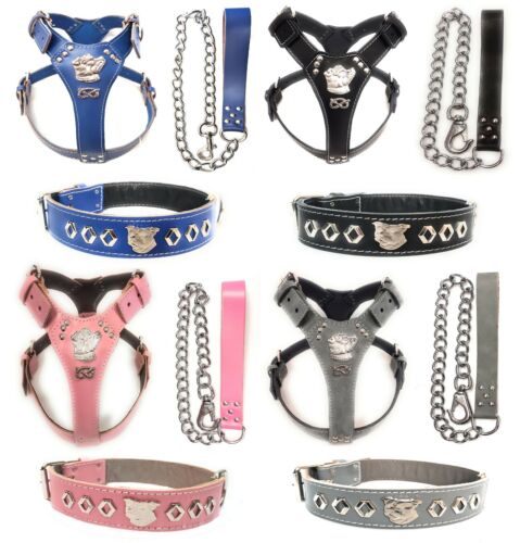 Bellissimo set bull terrier - bellissimo,