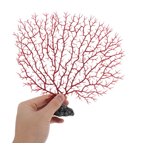 Pcs coralli decorativi - 2, di