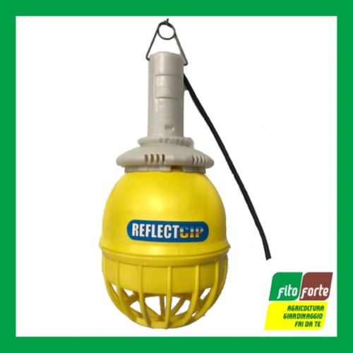 Riflettore lampada incubatrice - lampada,