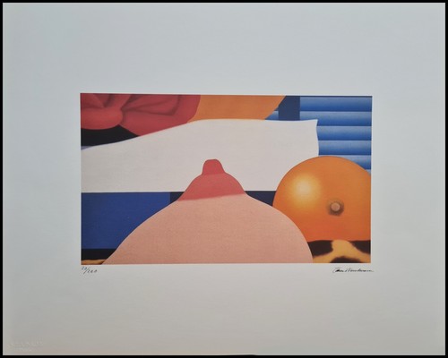 Tom wesselmann quadro camera - wesselmann,
