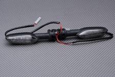 Paire de Clignotants Avant