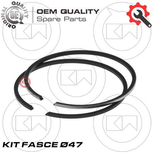 Serie fasce elastiche per - fasce,
