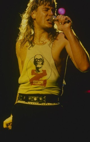 Def leppard diapositiva - def,
