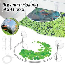 Pianta galleggiante per