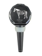 Haflinger Puledro - Tappo In