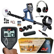 Minelab Metal Detector ricerca