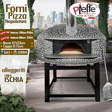 Forno a legna  pizza mattoni