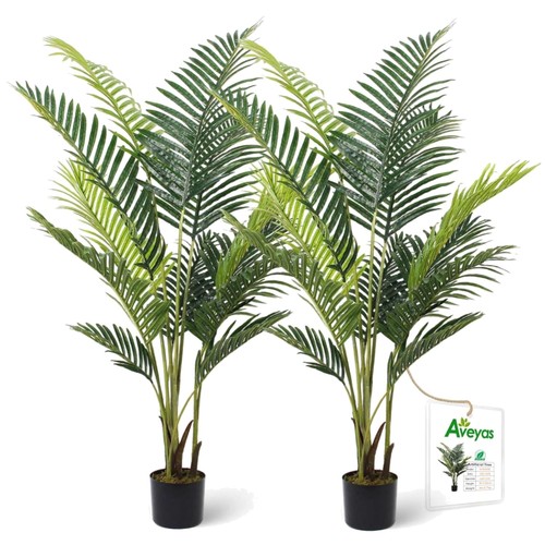 Alberi tropicali seta - tropicali,
