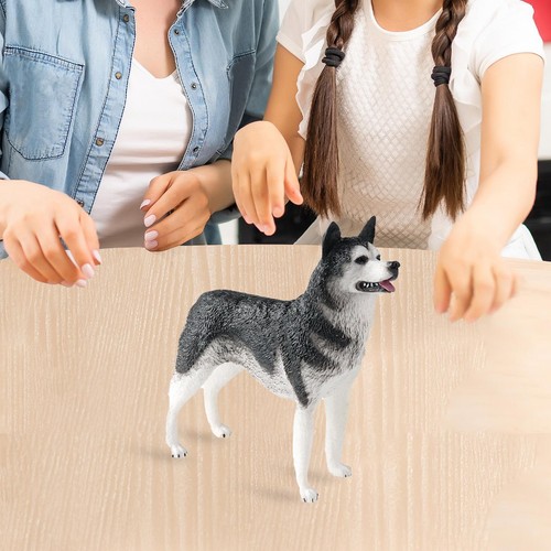 Statua cane husky - cane,