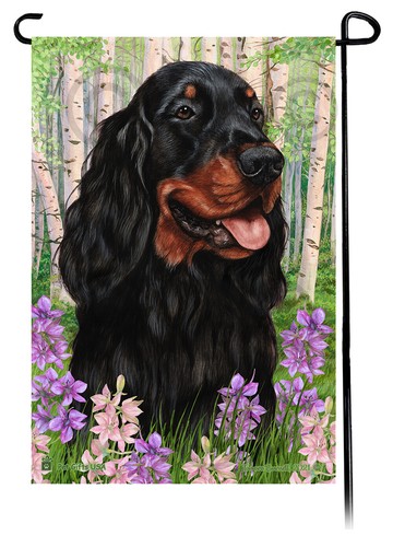 Gordon setter spring flowers - spring,