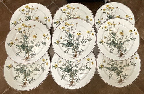 Villeroy boch botanica - villeroy,