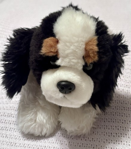 Aurora cucciolo cane cavalier - cane,