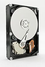 Western Digital Caviar Green 1 TB 3,5 pollici SATA-II 3 Gb/s WD10EAVS HDD #5865