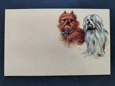 CARTOLINA CANI ANNI 50 - 60