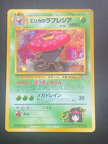 Japanese pokemon erika - japanese,