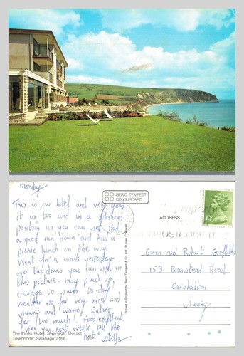 Vintage postcard the pines - postcard,