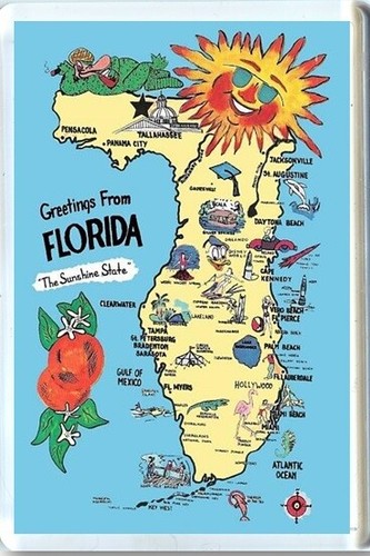 Florida fridge magnet - florida,