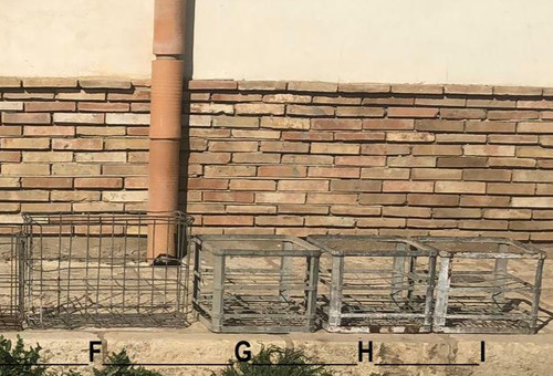 Vecchie casse ceste - , da