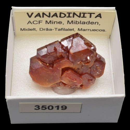 Vanadinita acf mine - (acf,