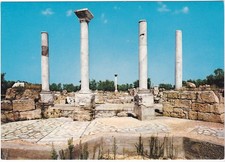 CANOSA DI PUGLIA - BARI - RUDERI DI SAN LEUCIO -66402-