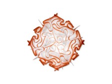 VELI  PLAFONIERA MEDIUM CHILLI