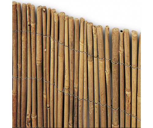 Brixo arella bamboo bambù - arella,