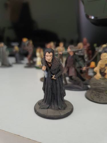 Miniatura signore degli - il,