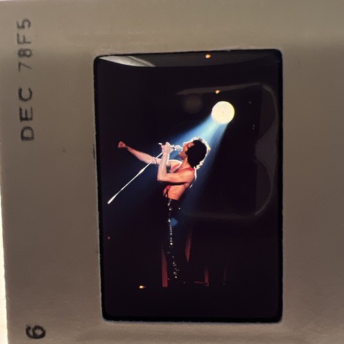 Queen freddie mercury foto - freddie,