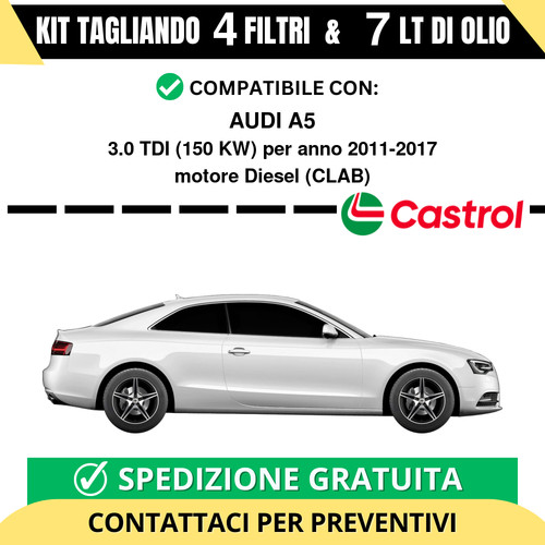 Tagliando per audi 0 - 3.0, tdi
