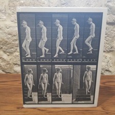 Enciclopedia delle arti