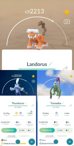 Tornadus,Thundurus,Landorus