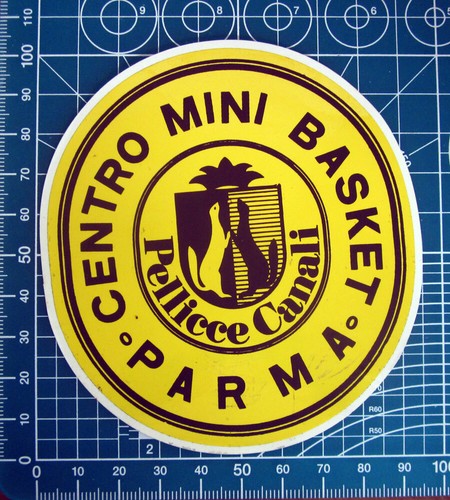Centro mini basket parma - mini,