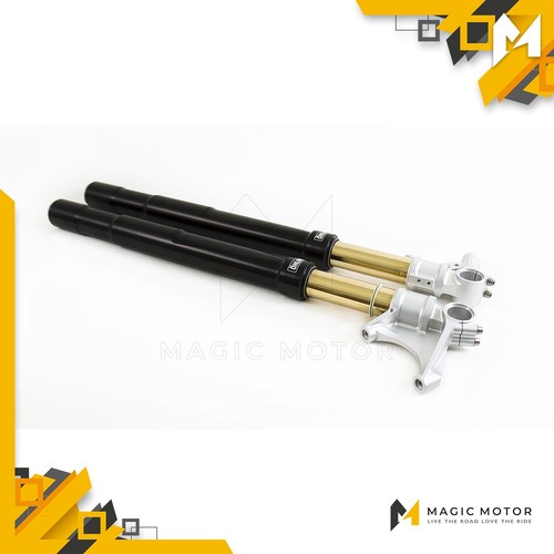 Forcelle moto anteriori ohlins - forcelle,