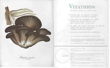 SERVIER ORLEANS IMPR KAPP VANVES J.FERRY PLEUROTUS OSTREATUS FUNGI VITATHION CHA