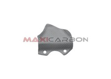 Cover pompa freno posteriore