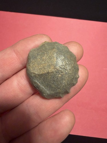 Indian artifact punta di - tn,