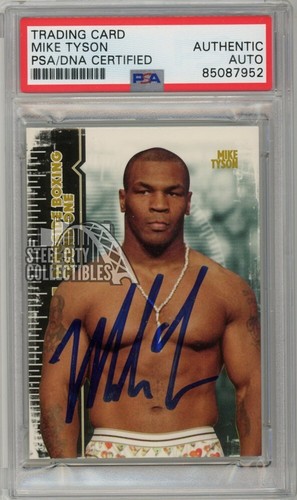 Mike tyson 2010 - tyson,