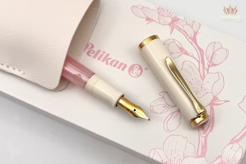 Penna stilografica pelikan - penna,
