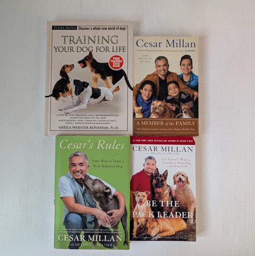 Cesar millan dog training - cesar,