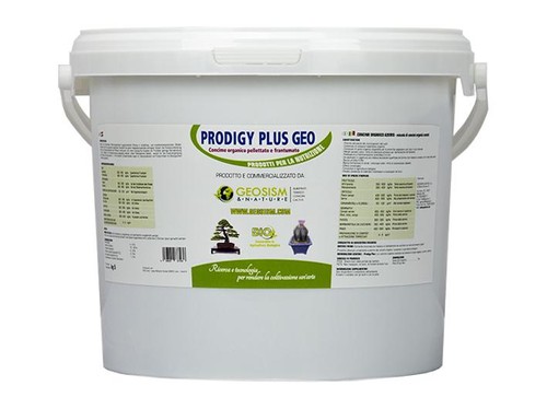 Prodigy plus mm - plus, (5