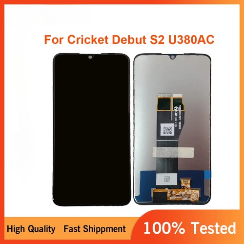 Per cricket debut - cricket, u380ac